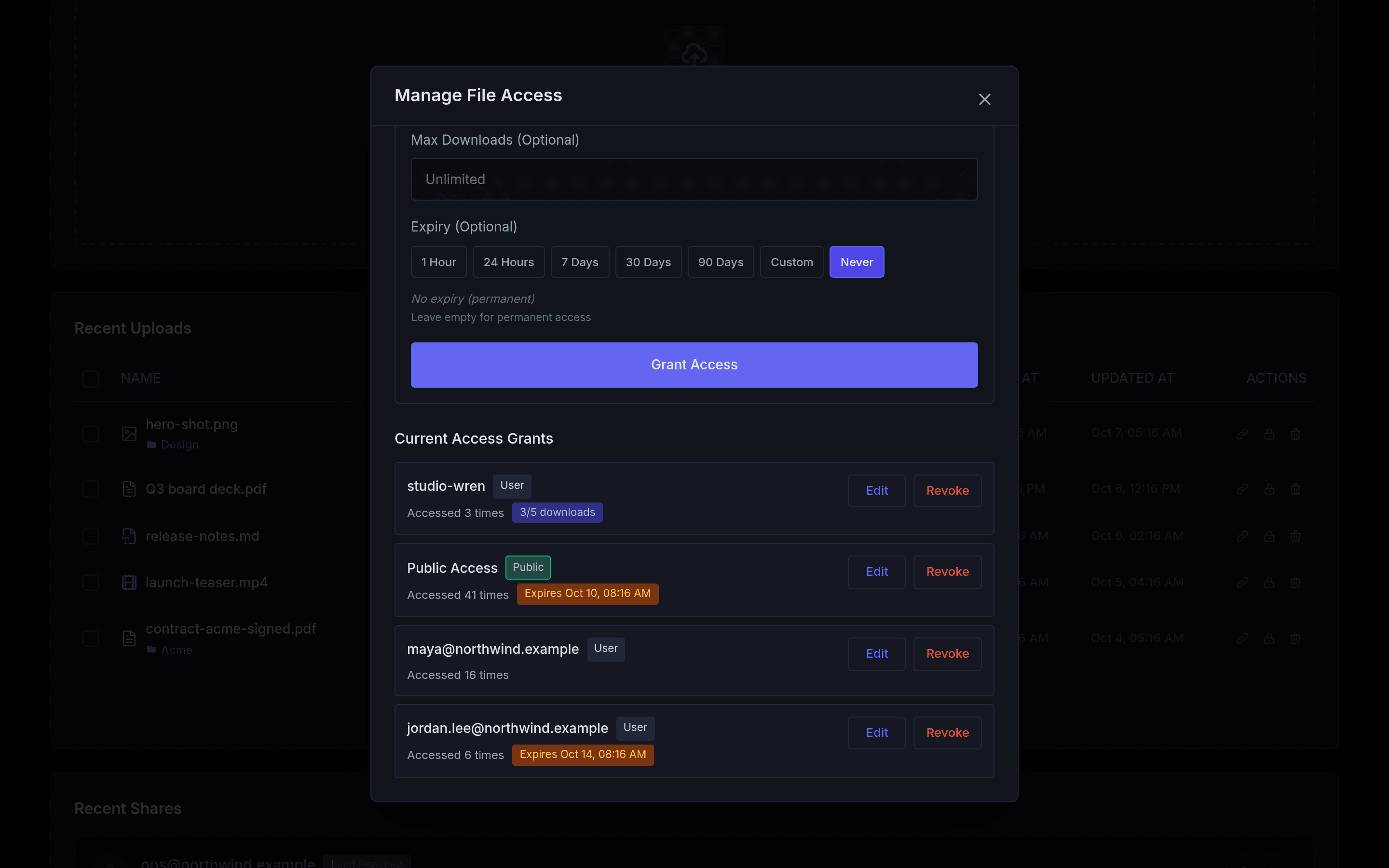 Access manager listing recipients with their expiry and download limits